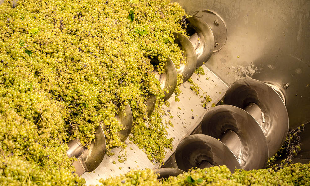 andreola veneto wines