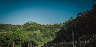 Cantina Tollo
