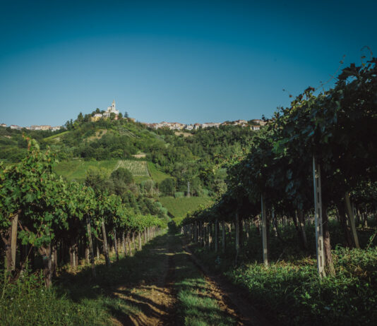 Cantina Tollo