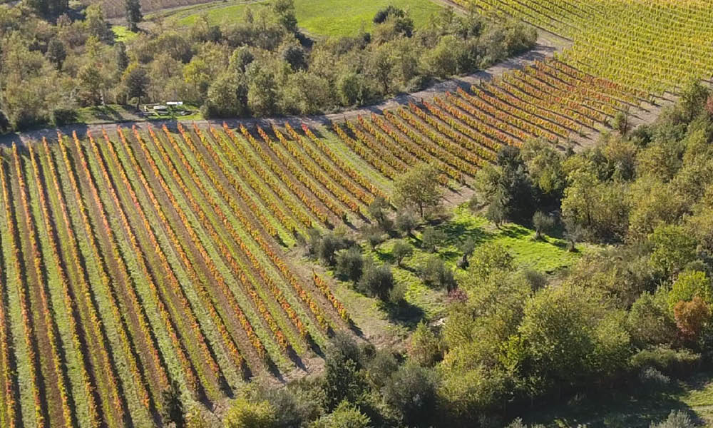 church of carmine umbria wines