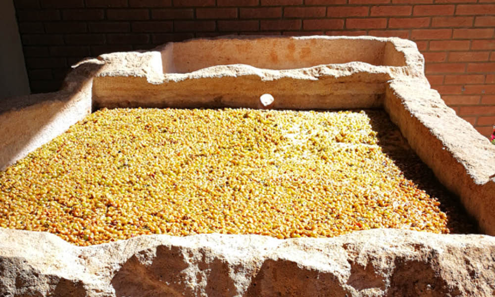 chiusa grande vini in pietra