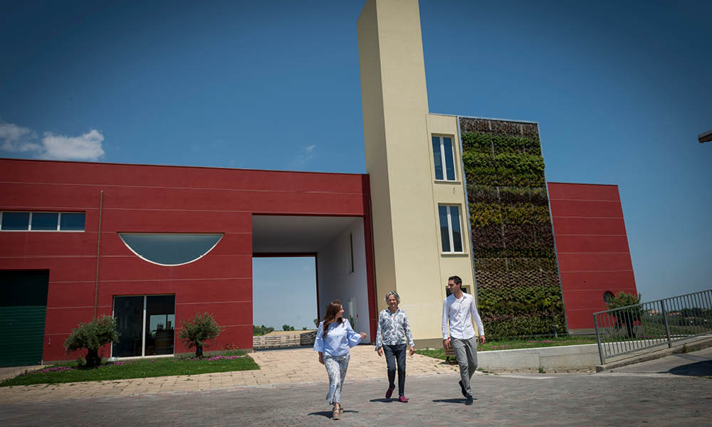 chiusa grande vini biologici abruzzo