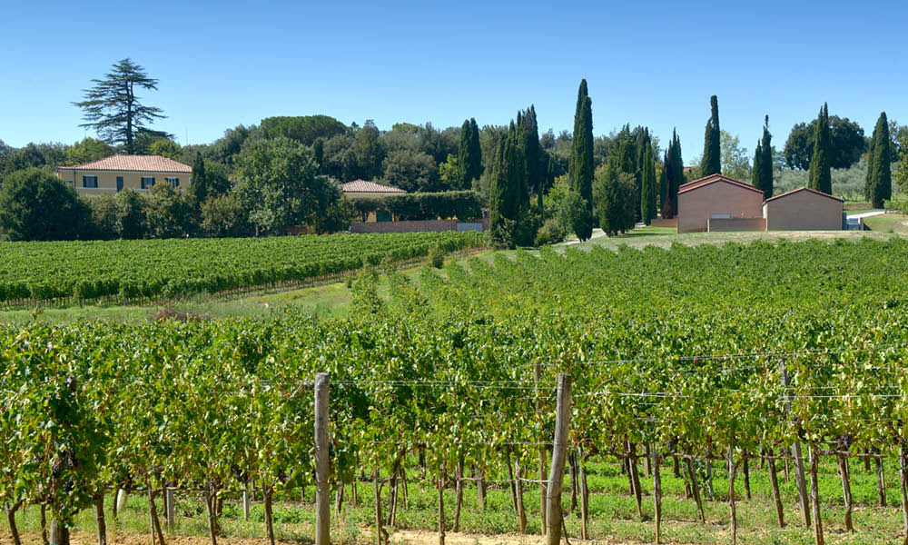 gracciano4