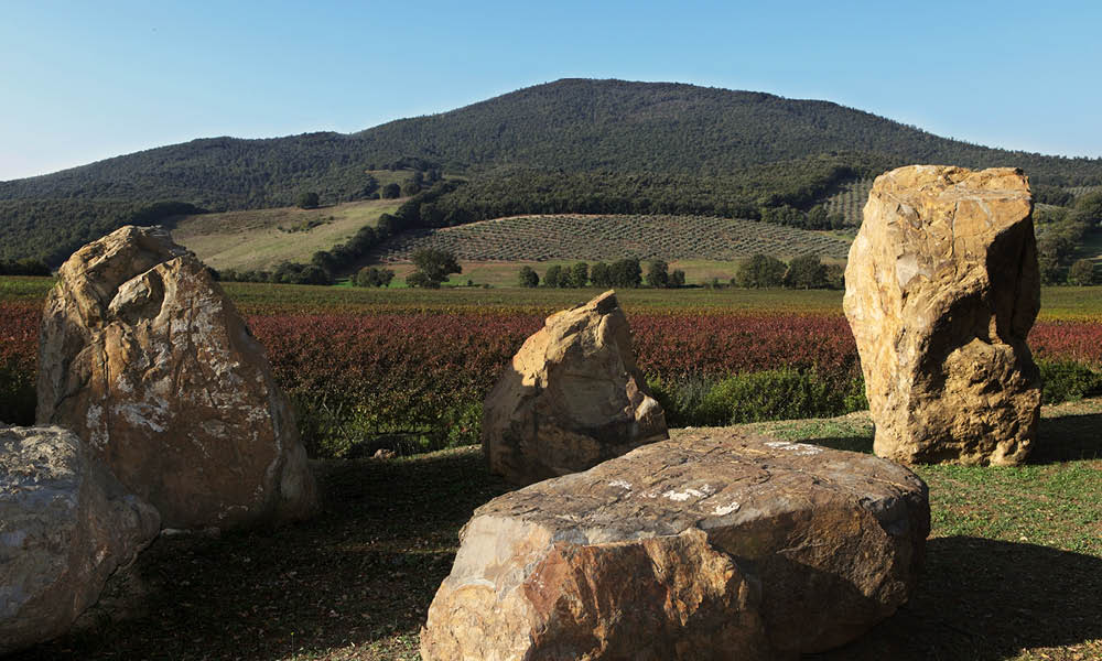 monteti3