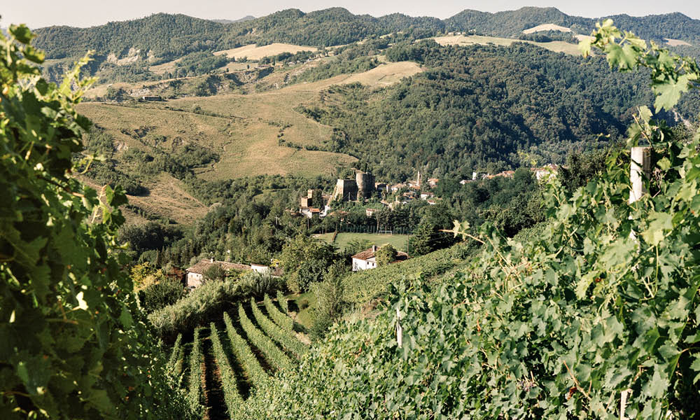 Fattoria Nicolucci vini romagna