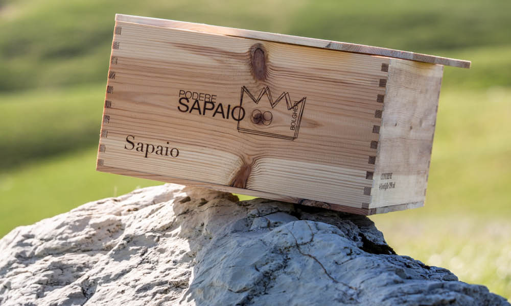 sapaio4