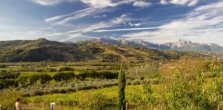 Tenuta Cerulli Spinozzi
