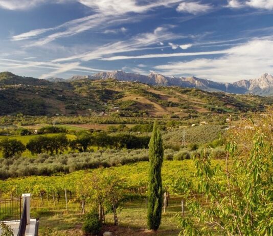 Tenuta Cerulli Spinozzi