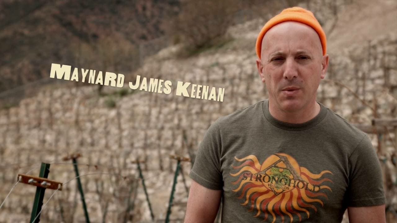 blood-into-the-wine-finest-wines