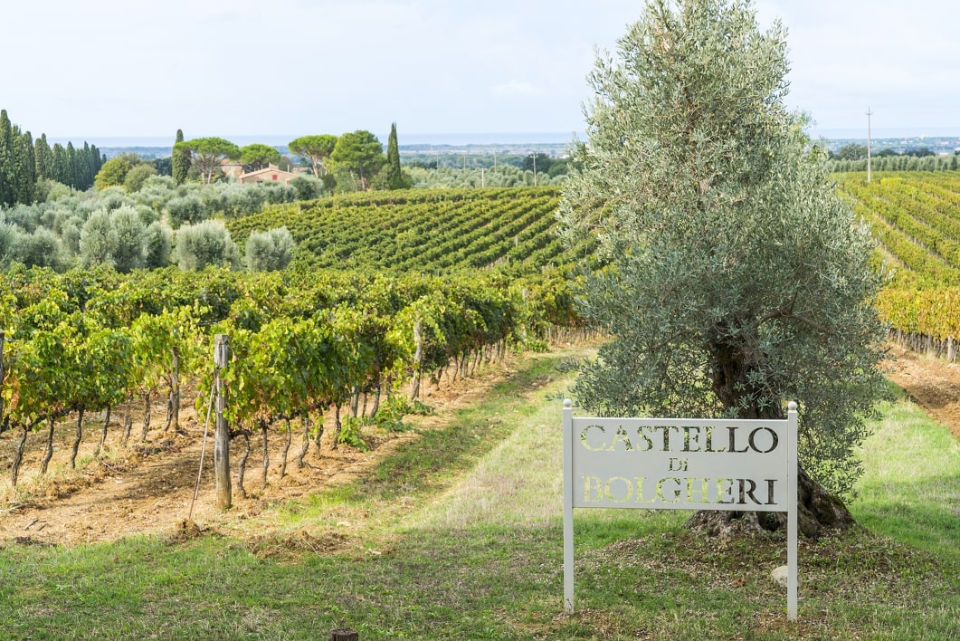 castello-di-bolgheri
