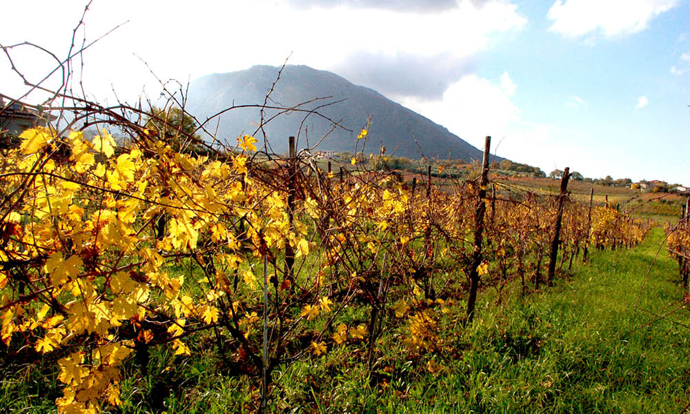 Aglianico del Taburno Lauranti