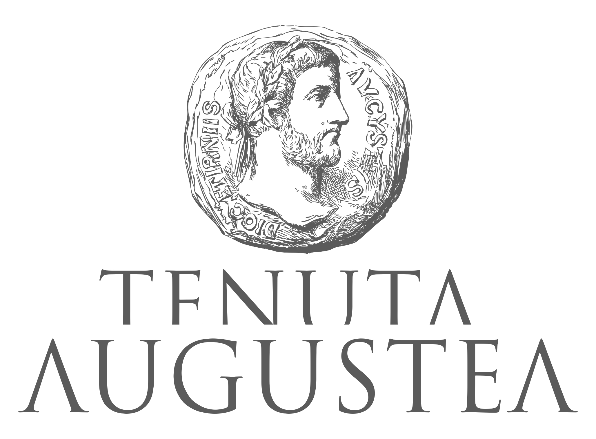 logo augustea nocerino wines