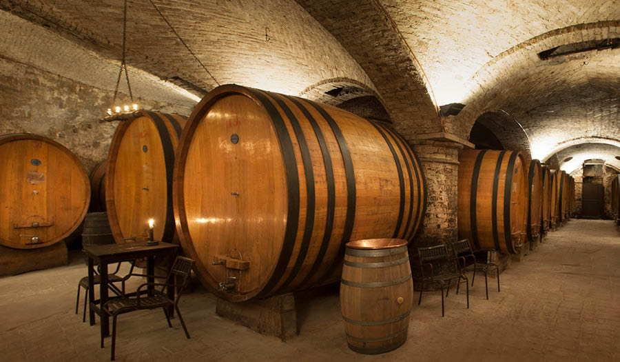 Pio Cesare visit Langhe winery