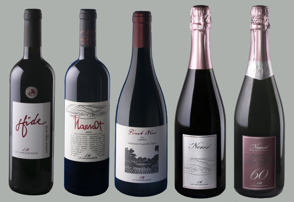 madeleine-vini-italys-finest-wines