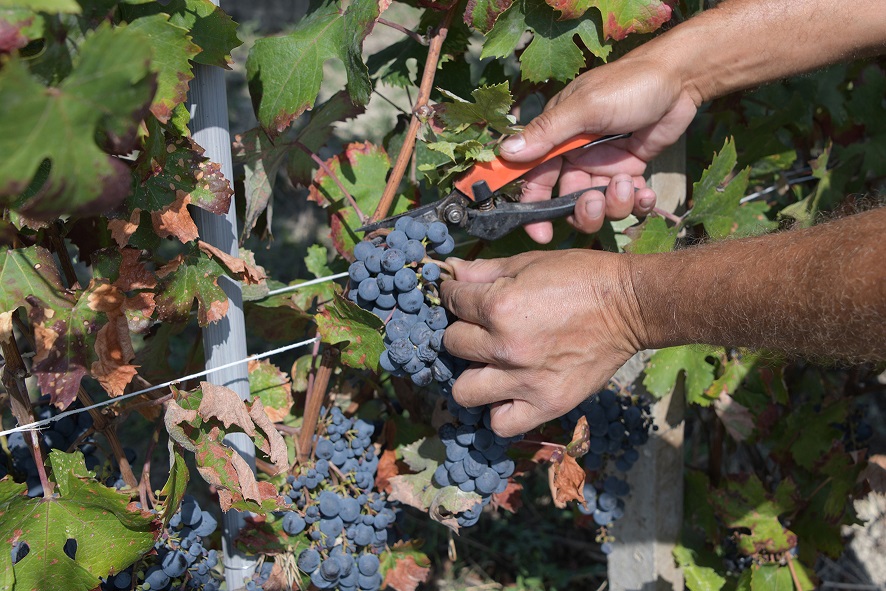 0015 MauroGallo Photographer C 2019 2