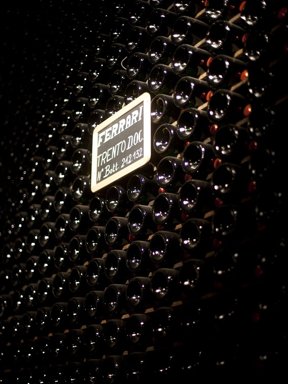 8 Ferrari interno cantina