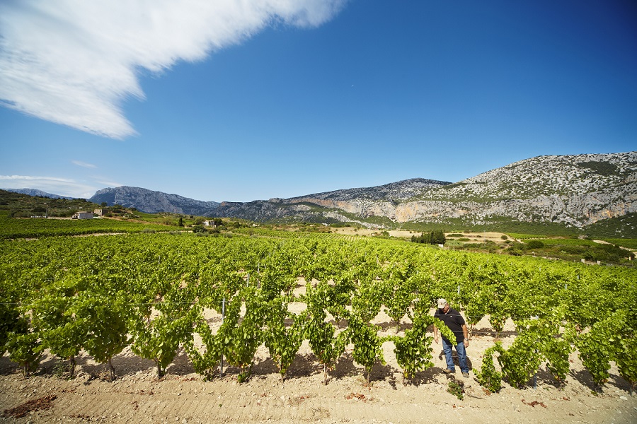 Cantina Berritta Sardegna