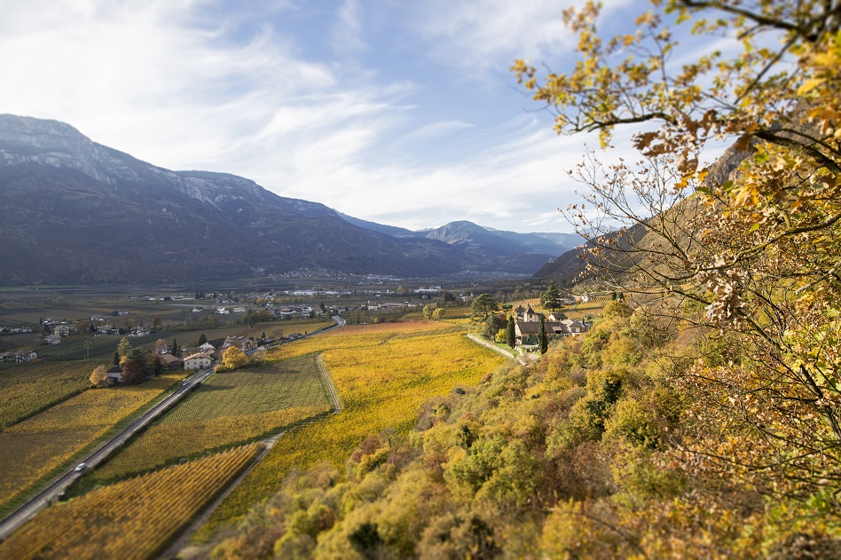 Kornell 04