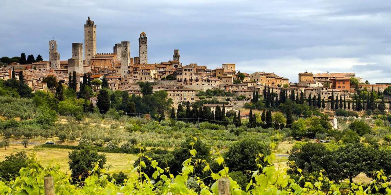 guida completa alla vernaccia di san gimignano dalle origini alle nostre tavole image