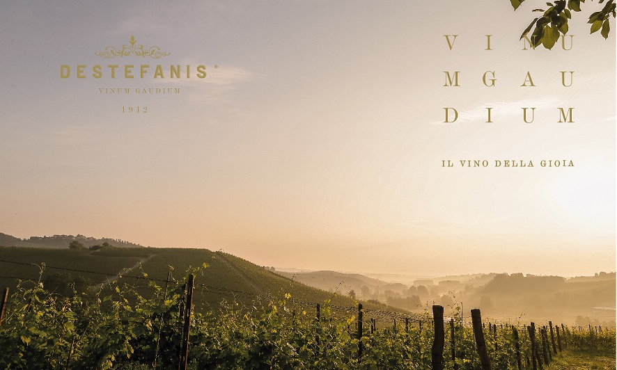 DESTEFANIS WEB 07