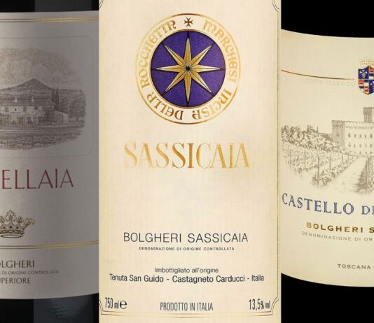 Best Bolgheri Wines (Updated 2025)