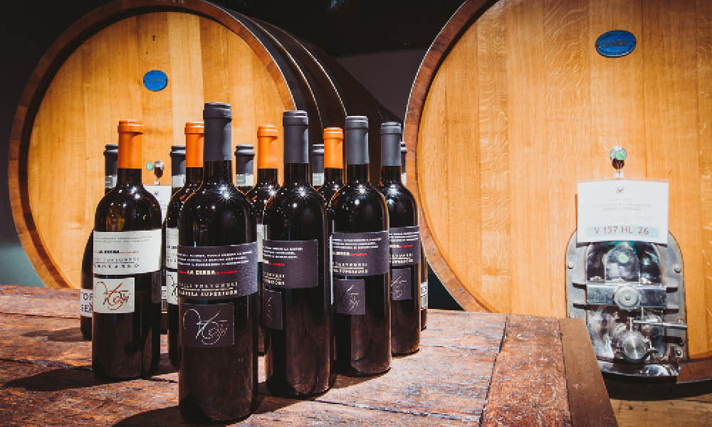 cantine volpi