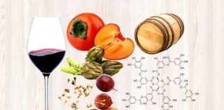 Tannini nel Vino: Cosa sono | Funzione | Abbinamenti Vini Tannici