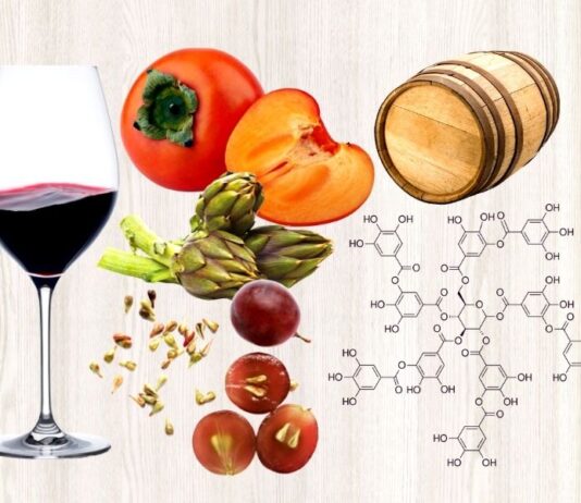 Tannini nel Vino: Cosa sono | Funzione | Abbinamenti Vini Tannici