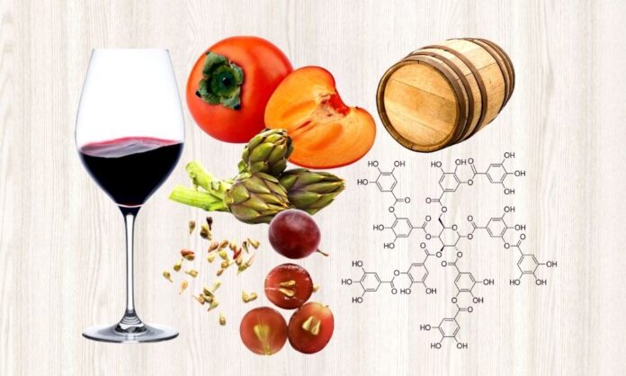 cosa sono tannini vino
