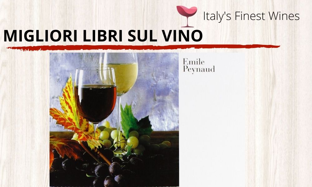 libri sui vini 13