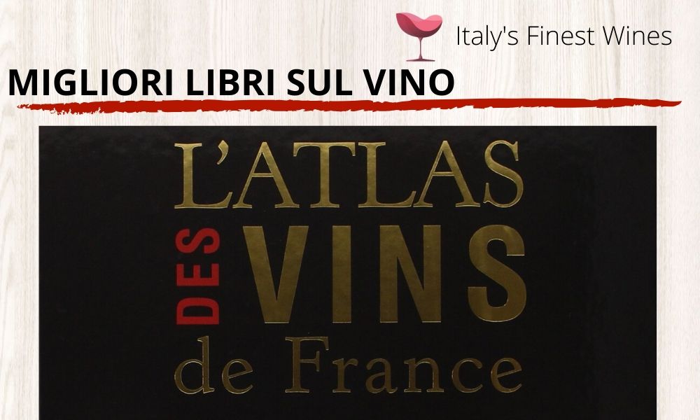 migliori libri vino francesi