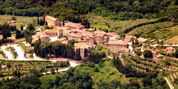 castello di volpaia vigne