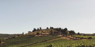 Castello Vicchiomaggio
