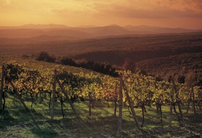 montalcino_friggiali