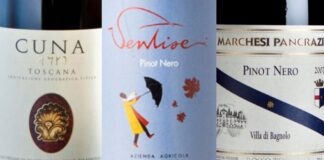 Migliori 20 Pinot Nero della Toscana