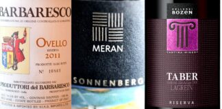 Le 20 migliori cantine sociali italiane