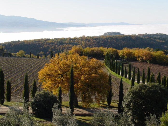Stato di Crisi Brunello Covid19