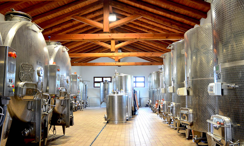 Alario Claudio Cantina Piemonte