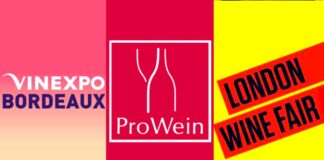 Migliori 20 eventi del vino Internazionali 2022