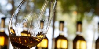 Valutazione Consistenza Vino e Archetti
