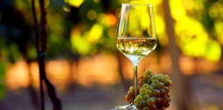 Limpidezza e Trasparenza del vino