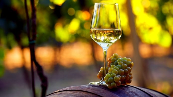 limpidezza trasparenza vino