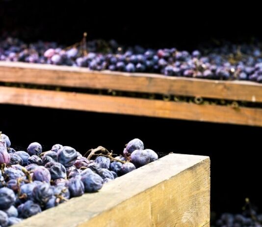Migliori annate Amarone della Valpolicella (2026)
