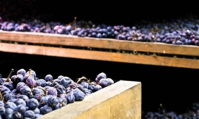 migliori annate amarone della valpolicella