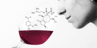 Wine Aromas: Fruity, Floral, Vegetal, Spicy, Mineral