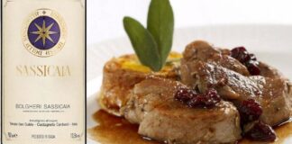 Best 10 Food and Bolgheri pairings