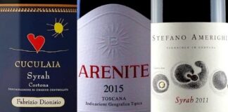 Migliori 20 Syrah Italiani rapporto qualità prezzo