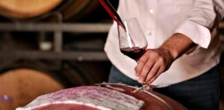 Taglio Bordolese: Uve, Caratteristiche, Tipologie e Abbinamenti