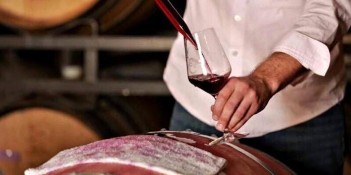taglio bordolese caratteristiche vino