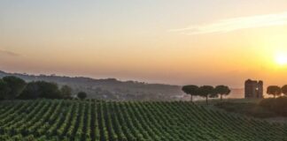 Vini del Lazio – Storia, Vitigni DOC, DOCG e Vini Migliori e Abbinamenti